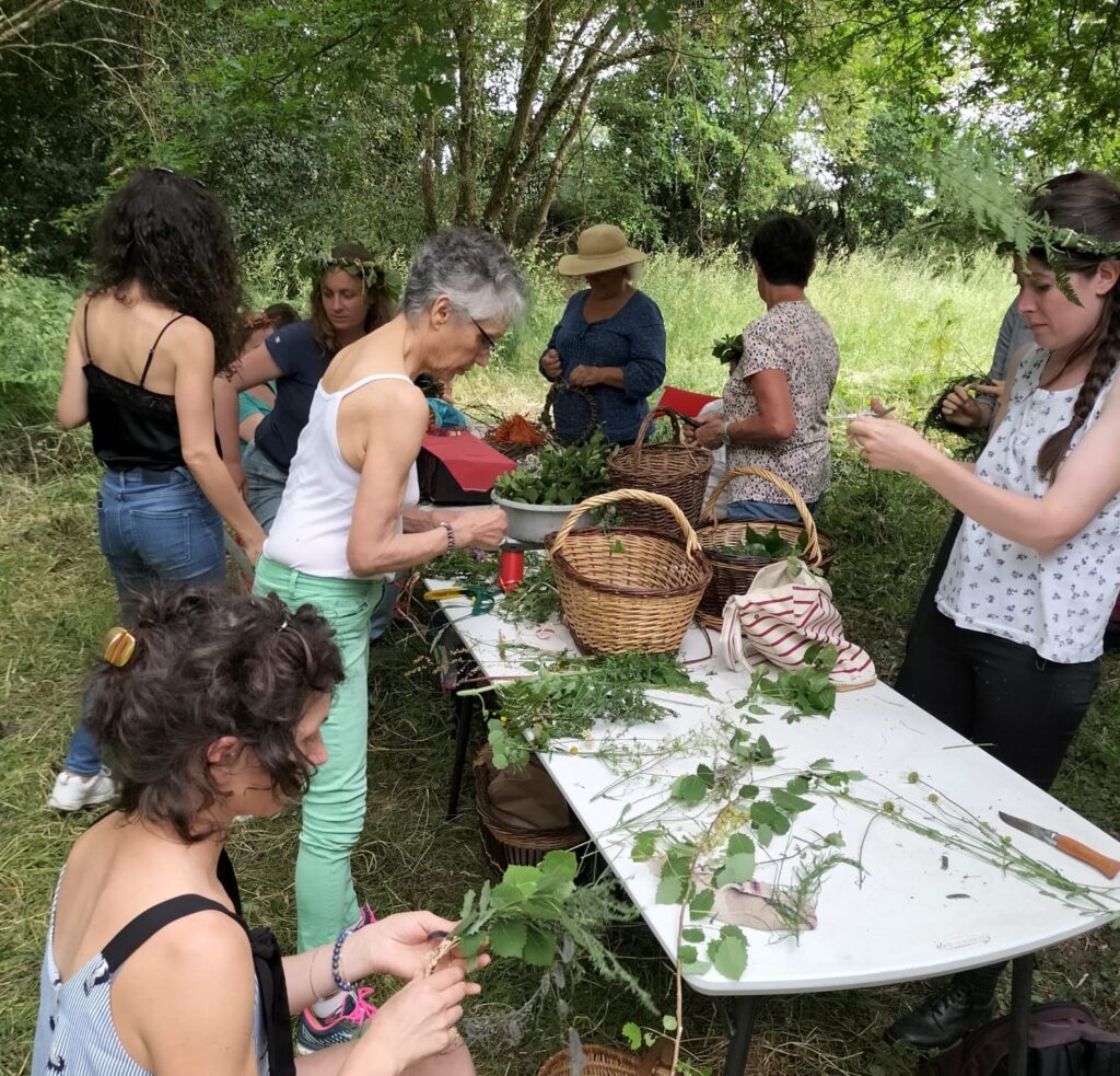 sortie botanique naturopathie à angers